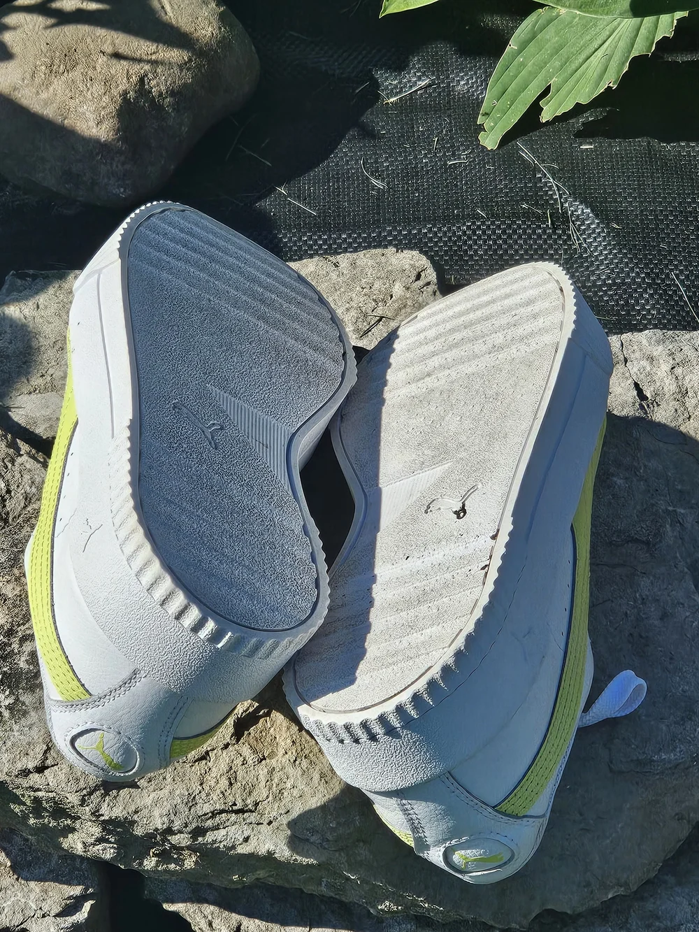 Puma Carina Women's White & Lime Green Low Top Tennis Shoes Sz 8 M